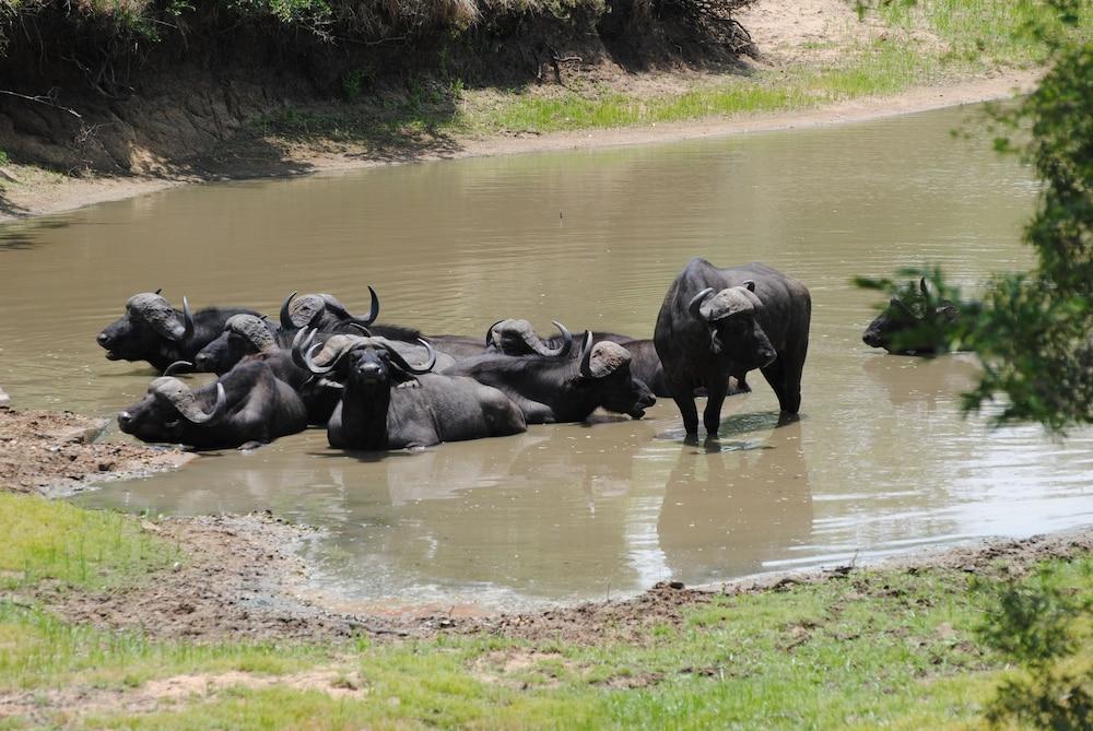 Monwana Hotel Hoedspruit Bagian luar foto